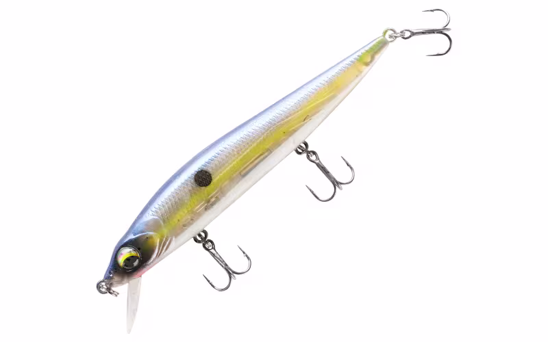 Bass Pro Shops XPS Staredown Suspending Jerkbait