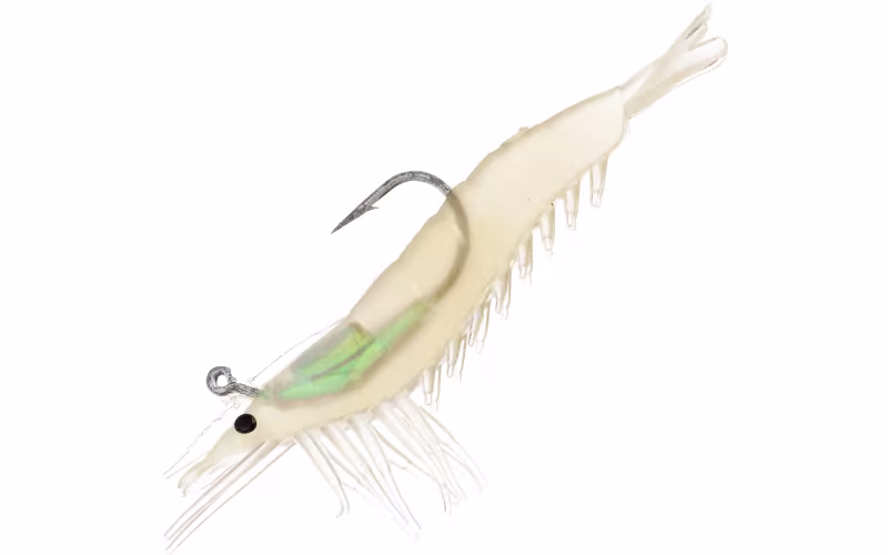 Tsunami Holographic Shrimp