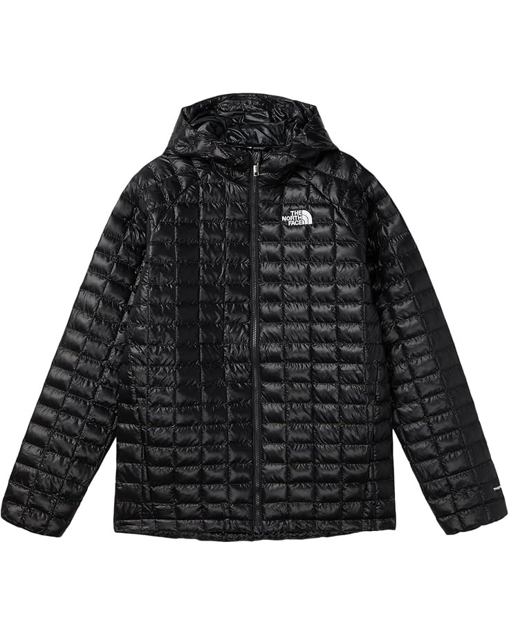 The North Face Kids THERMOBALL Hooded Jacket (Little Kid/Big Kid)