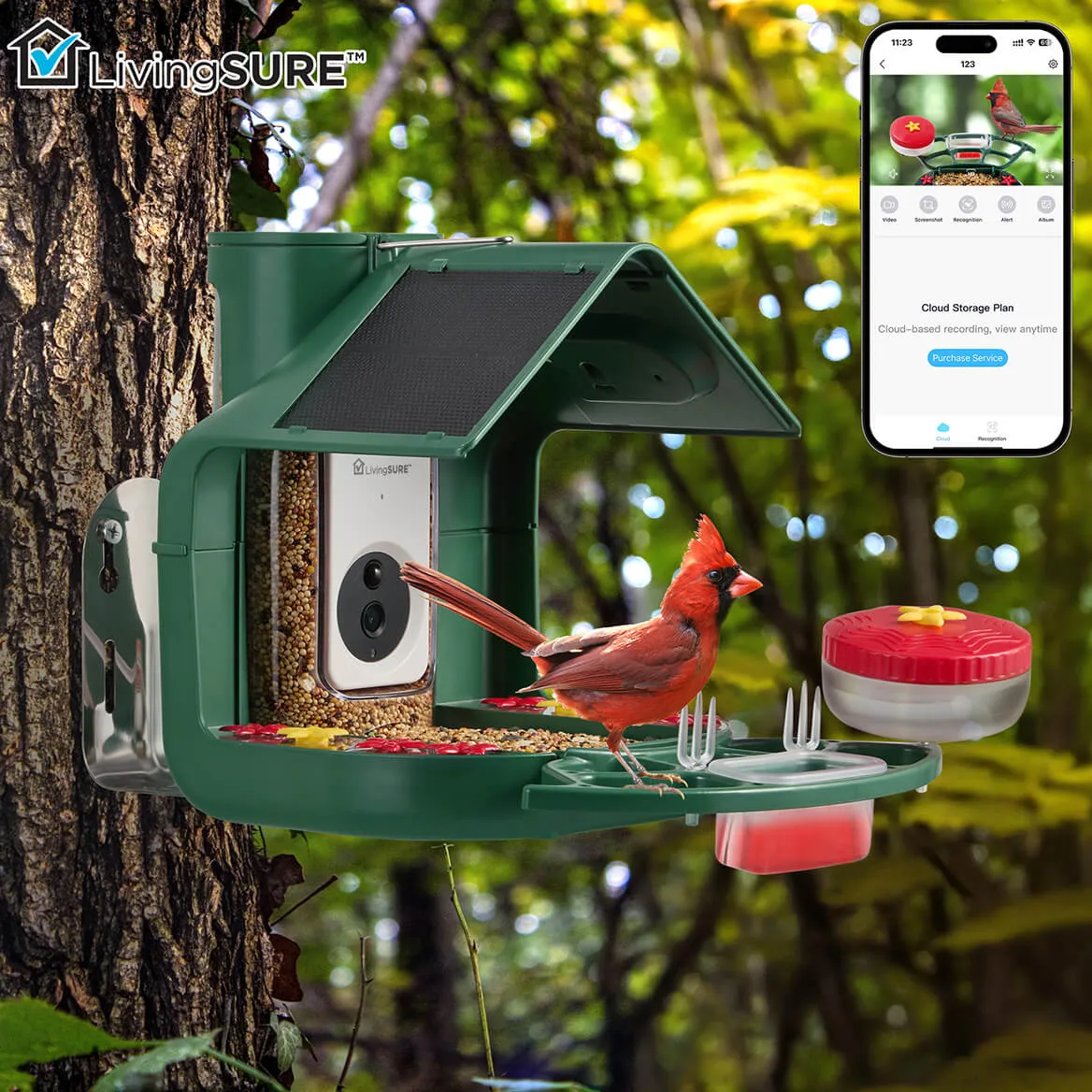 2-In-1 Smart Video Birdfeeder by LivingSURE™