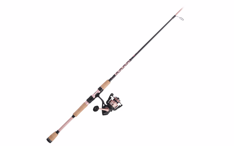 PENN Passion II Spinning Combo