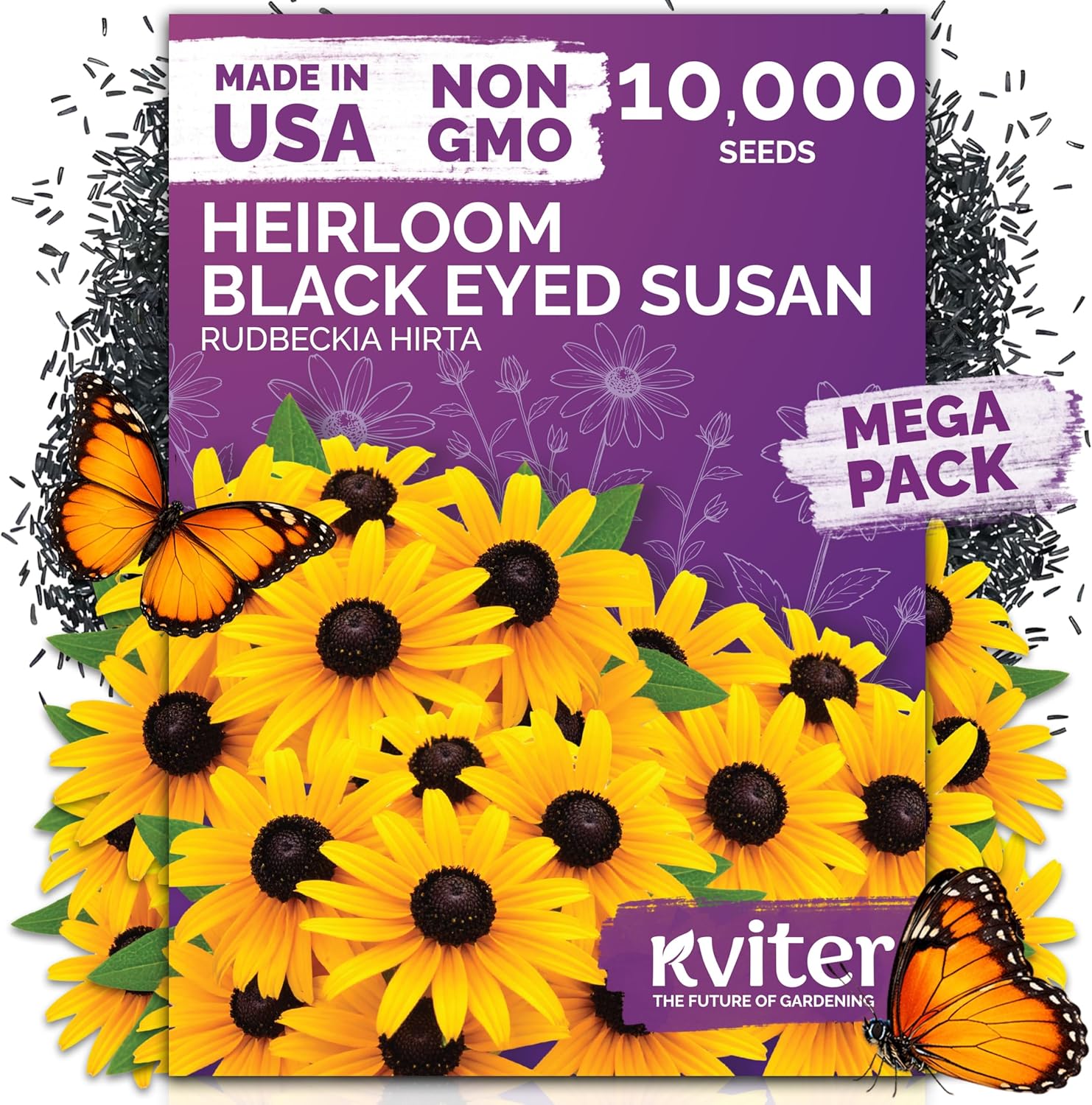 10,000 Black Eyed Susan Heirloom Flower Seeds for Planting, Rudbeckia Hirta