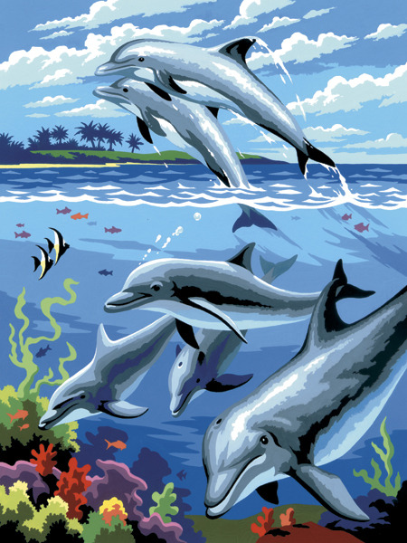 Dolphins - Junior Small Paint By Number Kit 8.75"X11.75"