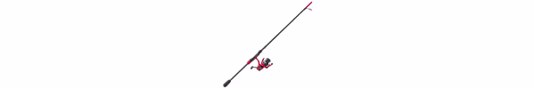 Abu Garcia MLF Max Spinning Combo