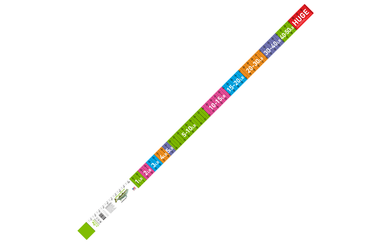 Release Ruler Striped Bass Ruler