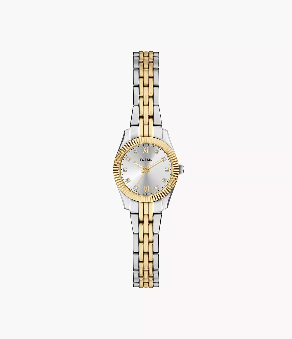Scarlette Mini 20mm Three-Hand Two-Tone Stainless Steel Watch