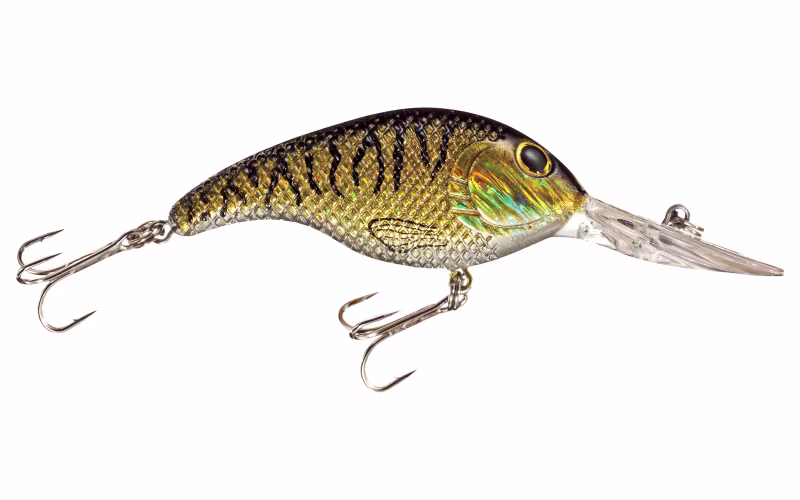 Bass Pro Shops Tourney Special Crankbait - Golden Tiger