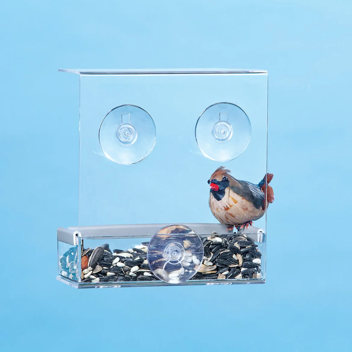Window Bird Feeder