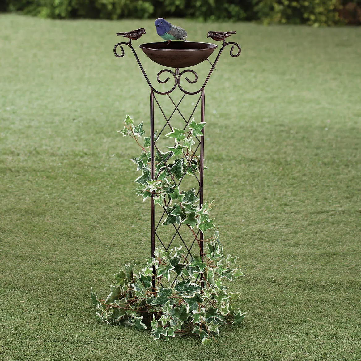 Bird Bath with Trellis