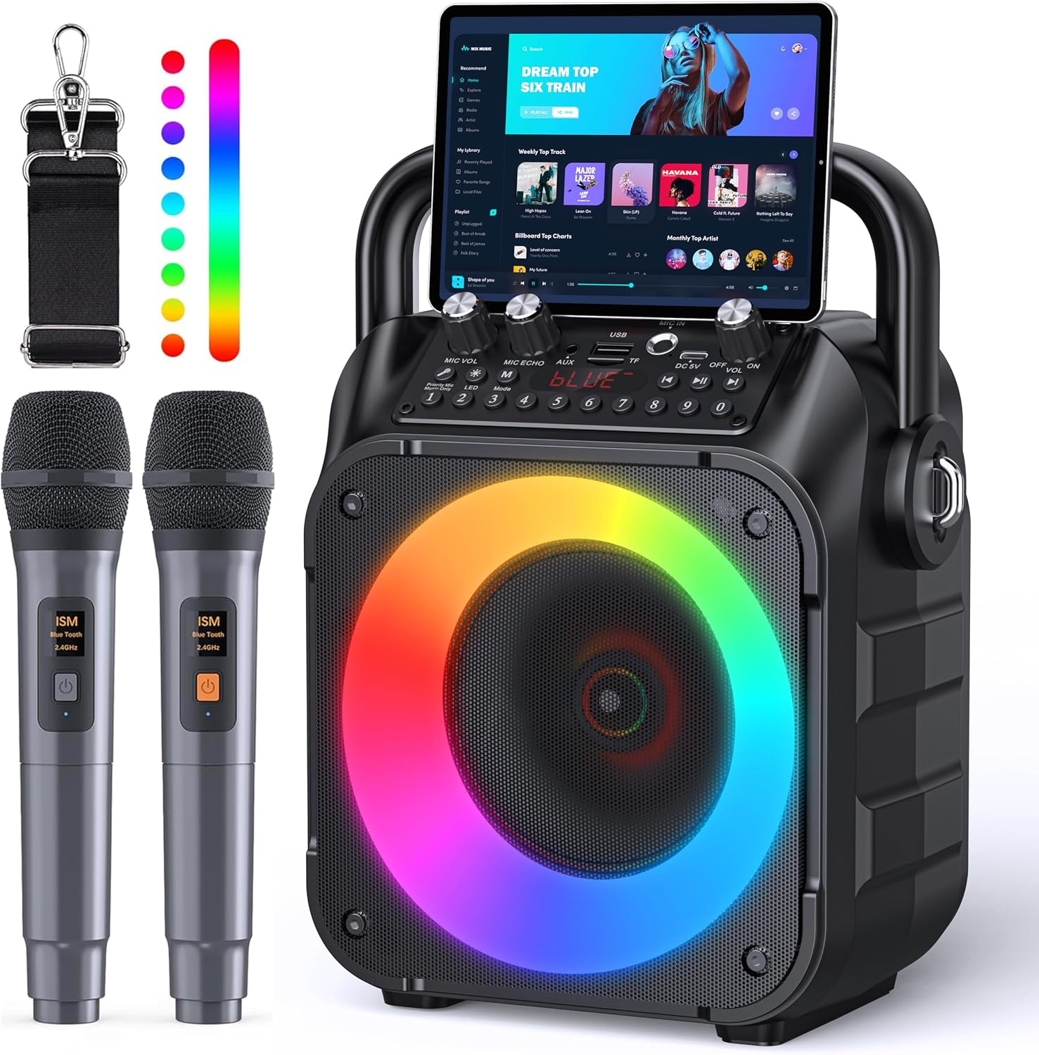 CYY Karaoke Machine, Portable Bluetooth Speaker with 2 Wireless Microphones | Immersive Sound, 5 Light Modes, PA System, TWS USB TF AUX FM, for Adults and Kids, Home Party, Outdoor, Home System Packages