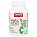 Jarrow Formulas, Vegan Mastic Gum, 60 Veggie Capsules (500 mg per Capsule)