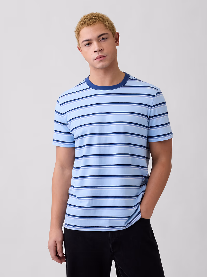 Everyday Soft Stripe Crewneck T-Shirt