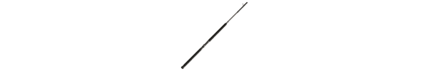 Shimano Teramar WC Conventional Rod