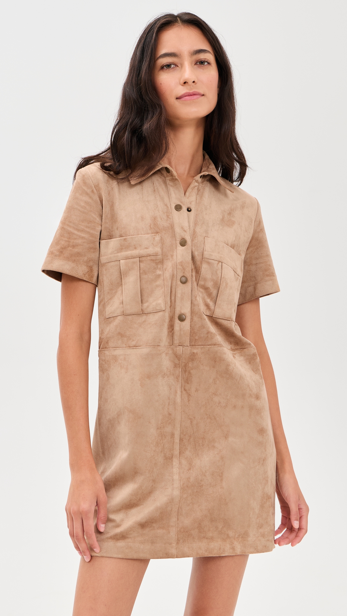 Z Supply Leone Faux Suede Dress