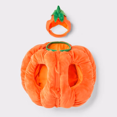Pumpkin Full Body Dog Costume - Boots & Barkley™