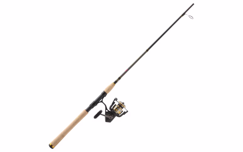 PENN Battle IV Inshore Spinning Combo - 2500 - Medium Light