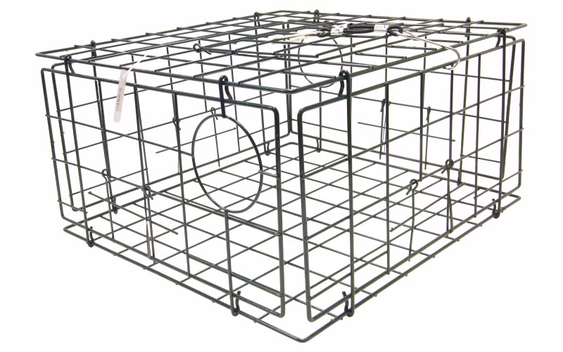 SMI 4-Door Collapsible Crab Trap